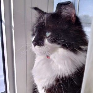 Meet your Posher, Echo